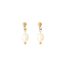 Load image into Gallery viewer, Pearl Earrings - Gold
